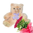 Valentine's Day Gifts